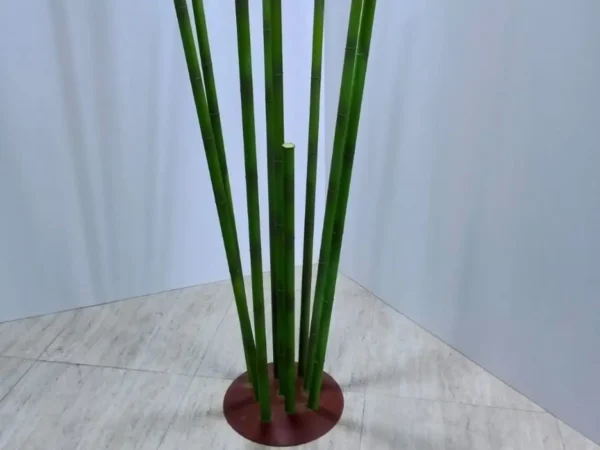 Bamboo decoratif
