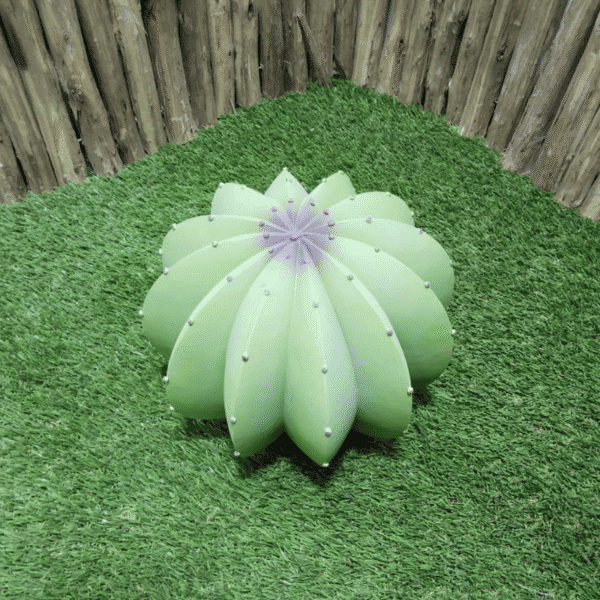 Cactus vert clair décoratif