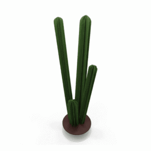 Cactus vert minimaliste