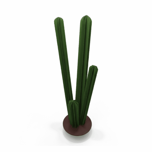 Cactus vert minimaliste