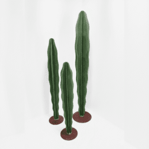 Ensemble de cactus vert décoratif