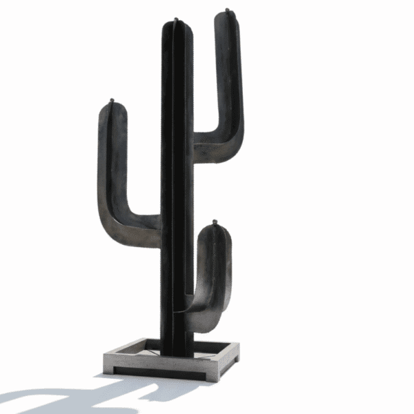 Grand cactus noir design