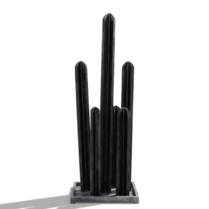 Cactus noir minimaliste