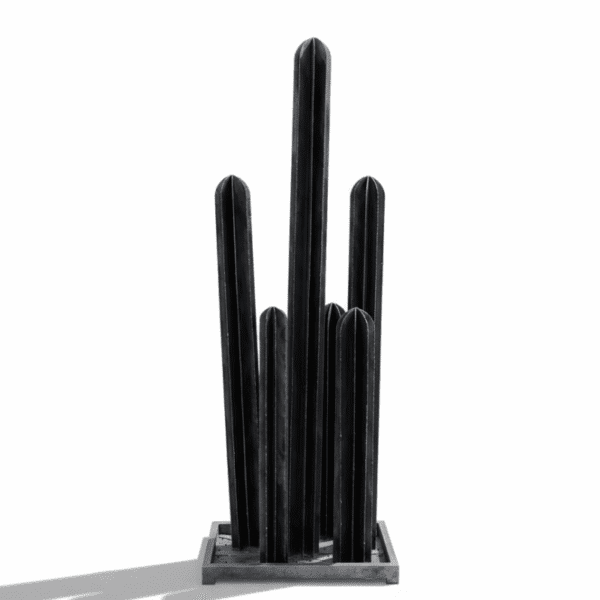 Cactus noir minimaliste