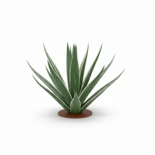 Plante d’agave décorative