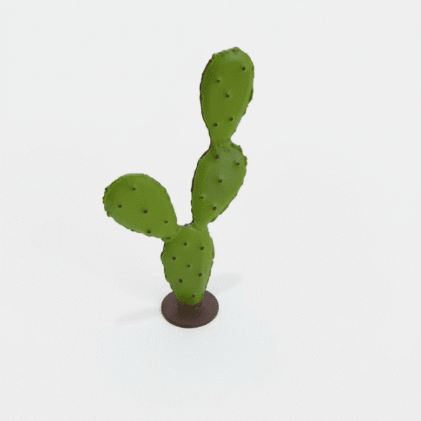 petit cactus