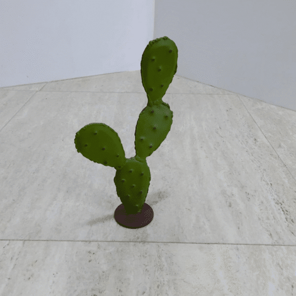 Petit Cactus – Image 2