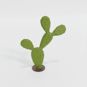 petit cactus