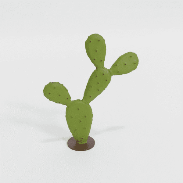 petit cactus