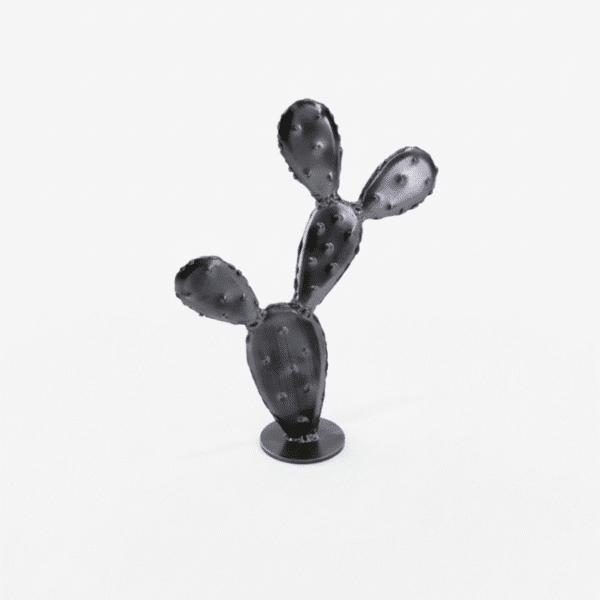 Cactus noir en métal