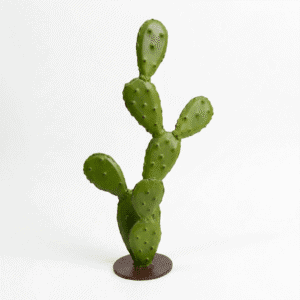 Cactus azzan design