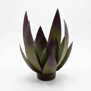 Aloe vera Azzan design
