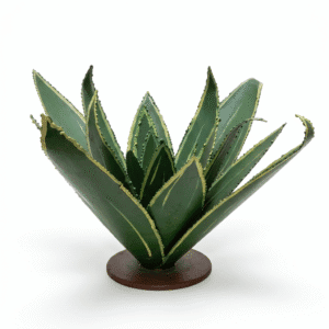 Aloe vera L 002
