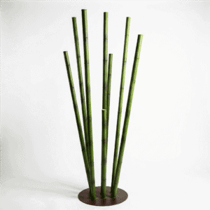 Bamboo