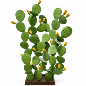 Grande Cactus